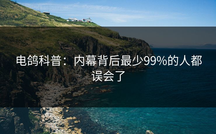 电鸽科普：内幕背后最少99%的人都误会了