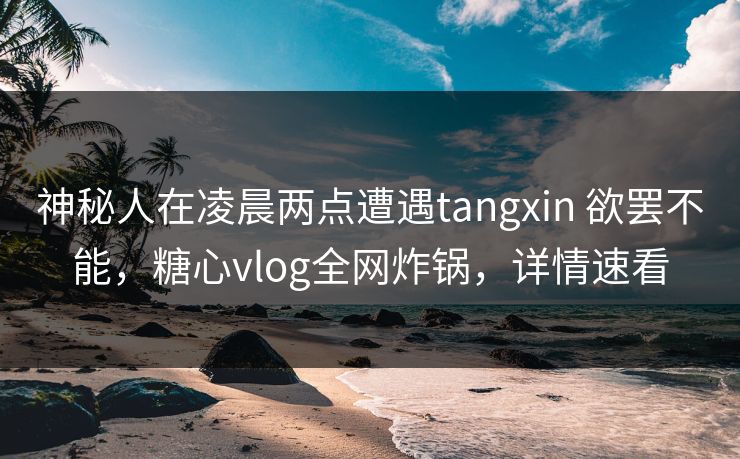 神秘人在凌晨两点遭遇tangxin 欲罢不能，糖心vlog全网炸锅，详情速看